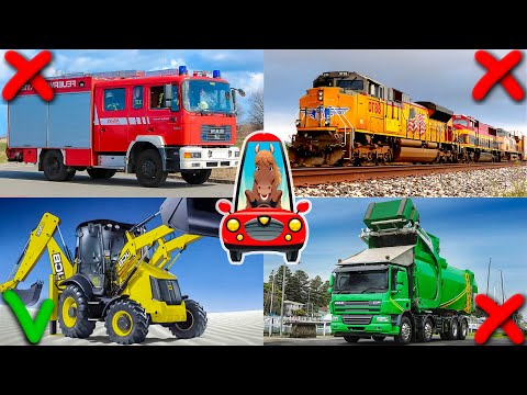 Видео: Изучаем транспорт и спецтехнику для детей. Виды транспорта. Логика для малышей