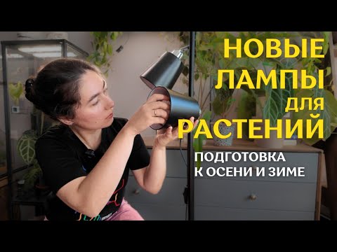 Видео: ГОТОВЛЮ растения к ОСЕНИ | ПЕРЕСТАНОВКА, новая ДОСВЕТКА для РАСТЕНИЙ и переукоренение АЛОКАЗИЙ 🌿