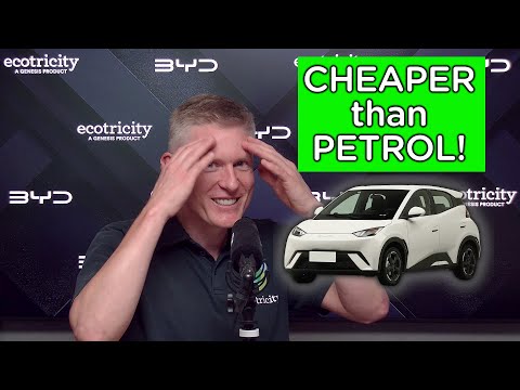 Видео: Ценовой паритет ЗДЕСЬ: BYD запускает 3 новые модели в Новой Зеландии!