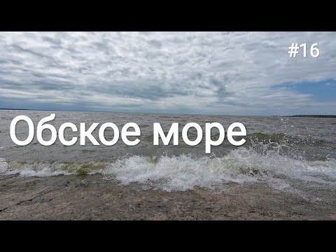 Видео: 16. Новосибирск, Бердск, начало Чуйского тракта!