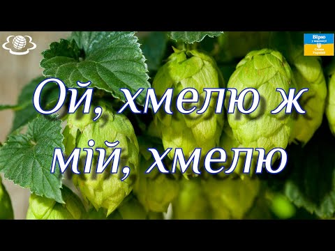 Видео: Ой, хмелю ж мій, хмелю