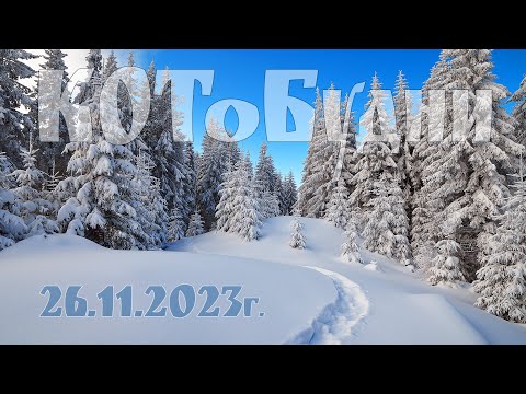 Видео: КОТоБудни, 26 ноября 2023г.: Прогулка по лесу и Чай у самовара с вареньем  |  Life in Russia