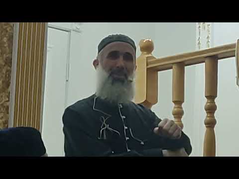 Видео: Бусалба нах шойла безаш хилар