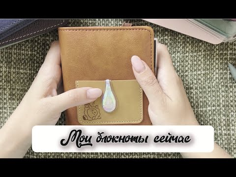 Видео: Ежедневники, которые я веду сейчас | The diaries I keep now