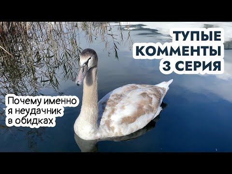 Видео: Почему я жалкий неудачник. Тупые комментарии, 3 серия.  #аксельфранк #комментарии #2k
