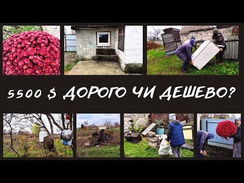 Видео: #2 Чому ми купили занедбану хату | Прибираємо сміття на подвір'ї