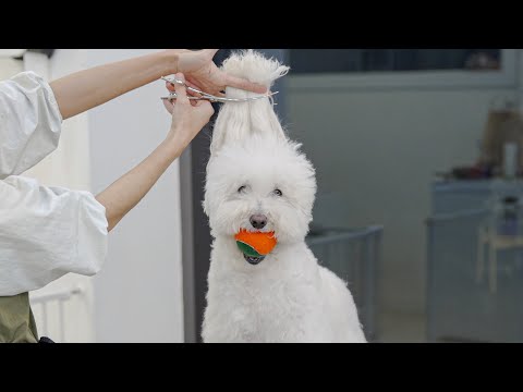 Видео: Я подстриглась, что росла два года.