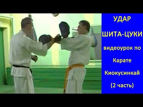 Видео: УРОКИ Каратэ Киокушинкай - Удар Шита-цуки урок № (часть 2)