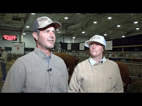 Видео: Выставка скота NILE — западная традиция для семьи Герефордов из Вайоминга