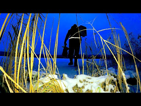 Видео: РЫБАК ЗАШЕЛ В ЛЕС НАШЕЛ ОЗЕРО И ОФИГЕЛ! Рыбалка в декабре 2024. Подводные съемки
