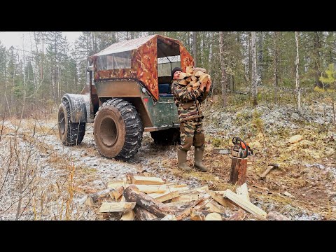 Видео: ТАЁЖНАЯ БЫТОВУХА.НАШЛИ БЕРЛОГУ МЕДВЕДЯ. ОБЗОР БЕРЛОГИ ИЗНУТРИ.