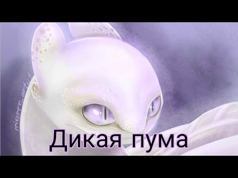 Видео: ❤Дневная Фурия и Беззубик❤ "Дикая пума" ✨Клип