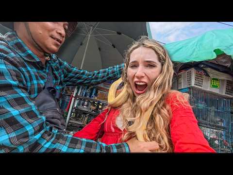 Видео: Первые впечатления о Джакарте (этот город меня потряс)