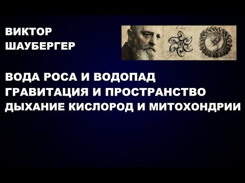 Видео: 193 В ШАУБЕРГЕР ВОДА РОСА И ВОДОПАД ГРАВИТАЦИЯ ДЫХАНИЕ КИСЛОРОД И МИТОХОНДРИЯ.