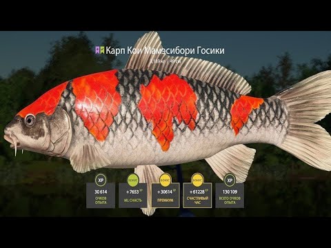 Видео: 🐠ОЗЕРО МЕДНОЕ В ПОВЫШЕННУЮ ТЕМПЕРАТУРУ🐟СТРИМ РУССКАЯ РЫБАЛКА 4🐡РОЗЫГРЫШ РУЛЕТОК