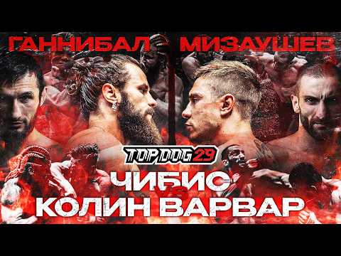 Видео: Чибис VS Колин Варвар, Ганнибал VS Мизаушев | TOP DOG 29