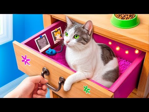 Видео: Строим секретную комнату в шкафу! Секретный домик для кота!
