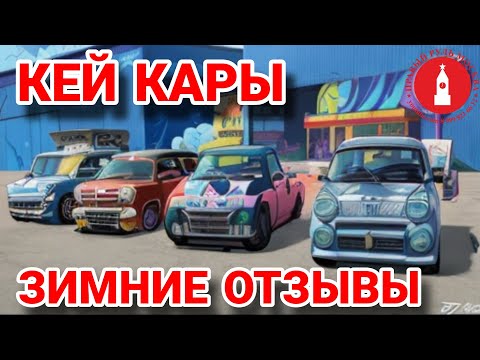 Видео: Зимние отзывы владельцев кей каров. Honda n-box / Suzuki wagon R. Минус 28 градусов.