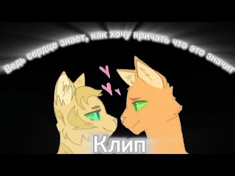Видео: |Пары|Не могу дышать, но сердце знает, как хочу кричать что это значит|Коты-воители|Клип|Коршун КВ|