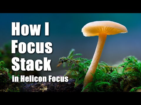 Видео: Как я совмещаю фокусировку в Helicon Focus