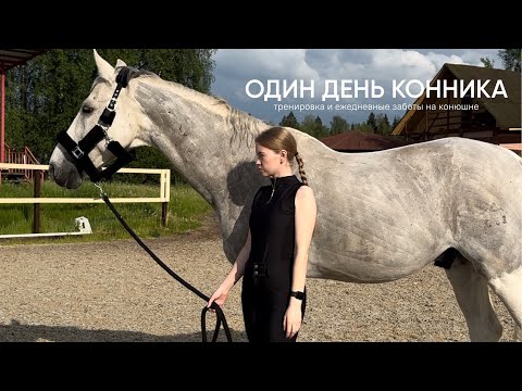 Видео: Один день конника: тренировка и ежедневные заботы на конюшне