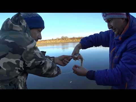 Видео: Наша первая настоящая рыбалка, с удочками