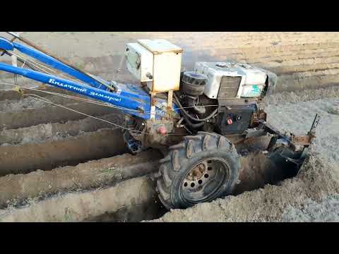 Видео: Посадка картоплі з плужками спереду мотоблока