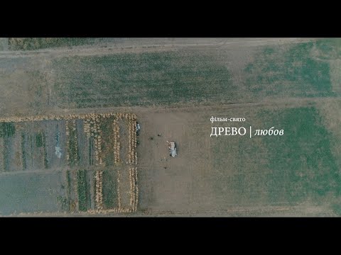 Видео: фільм-свято ДРЕВО I Любов