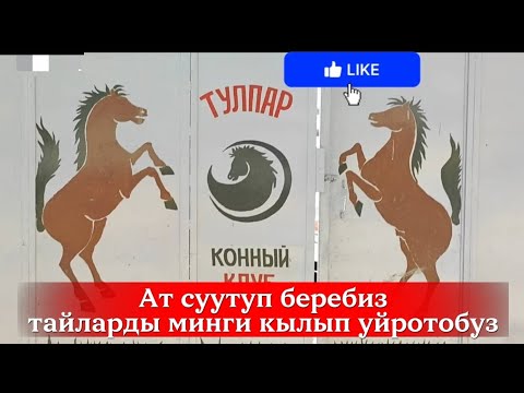 Видео: Аттардын жанынан эки адам бир мунотко да жылбайт деди