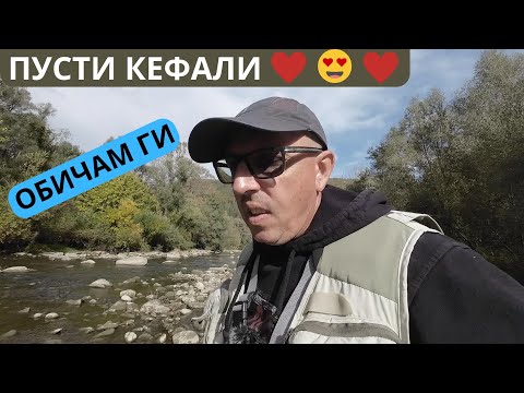 Видео: ЕТО ЗА ТОВА ХАРЕСВАМ КЕФАЛИТЕ