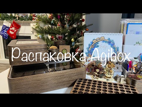Видео: #239. Распаковка посылки от Agibox/Большая коробка для рукоделия, шкатулка для Крейника, аксессуары