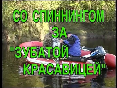 Видео: Серебряный ручей Выпуск 12 «Со спиннингом в поисках "зубатой красавицы"»