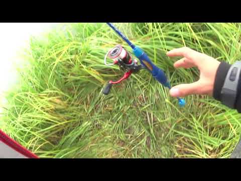 Видео: Областные соревнования, Спиннинг с берега, 3 этап, о.Чусавитино