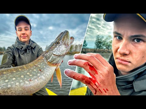 Видео: 🩸 ЩУКА РЕЖЕТ КРИВЫЕ РУКИ! Татуировка спиннингиста! Рыбалка с сыном