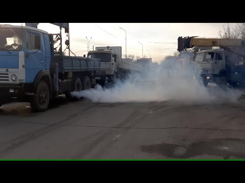 Видео: Талдыкорган. Пятак для камазистов, полуживой голубь