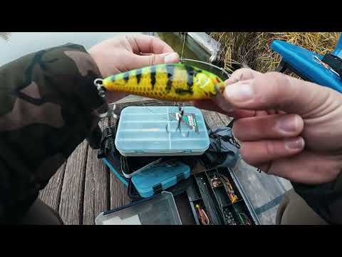 Видео: Мало риби, багато досвіду