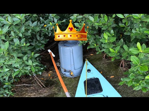 Видео: Я — КОРОЛЬ мусорных баков. Моё королевство растёт...