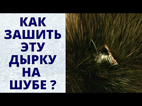 Видео: Как зашить дырку на шубе самому Ремонт шуб в домашних условиях полезные советы рукодельницам