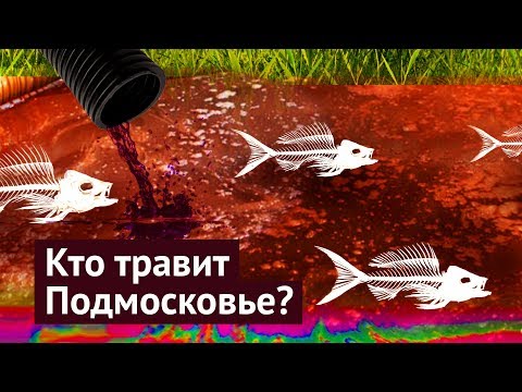 Видео: Экологическая катастрофа в Подмосковье