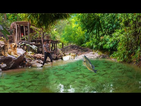 Видео: 4 Year Off Grid Life – Вылов рыбы из дикого ручья – Вырастить 100 рыб до дня вылова