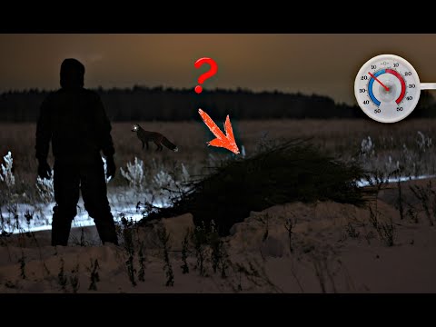 Видео: -15° Без костра в открытом поле! Выживание. 24 ЧАСА