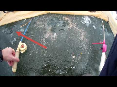 Видео: Зимняя рыбалка на водохранилище Печенеги