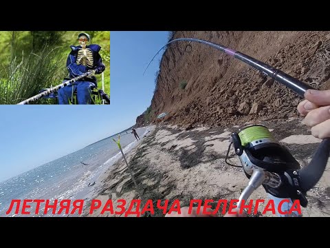 Видео: Пеленгас клюет весь день. Почему сходит пелик.