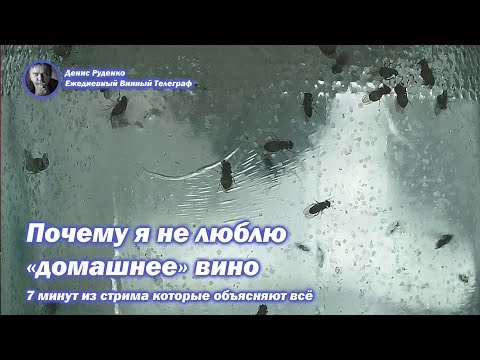 Видео: Почему я не люблю "домашнее" вино - 7 минут из стрима которые объясняют всё