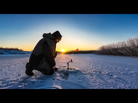 Видео: Первый лёд. Нашли Щуку, Чебака и Окуня. Зимняя рыбалка 2025 открыта.