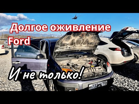 Видео: Оживление и Восстановления ключей Ford, Toyota, Iveco, Chevrolet.