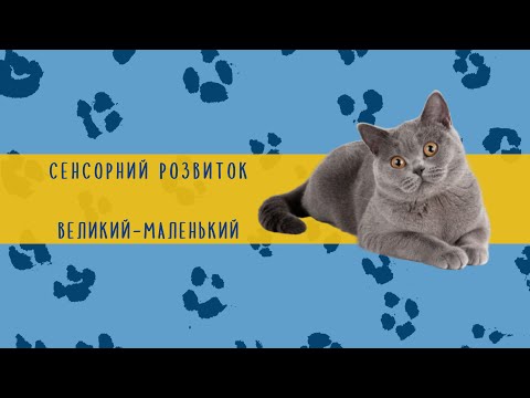 Видео: Сенсорний розвиток "Великий-маленький" (тварини). Дитинчата домашніх тварин