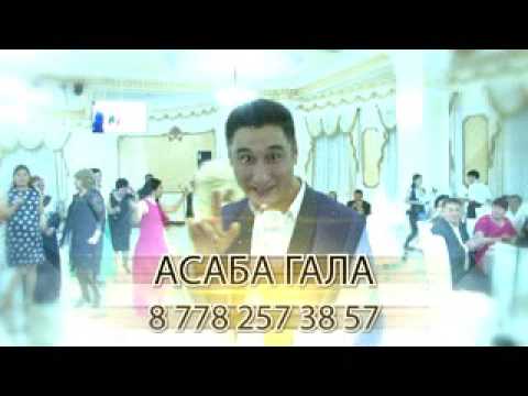 Видео: Рымбаев Ғалымжан-ең үздік асаба!