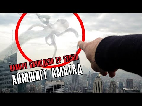 Видео: Бидний дунд амьдарч буй аймшигт зүйлс