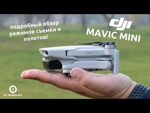 Видео: DJI Mavic Mini: подробный обзор нового дрона и приложения DJI FLY